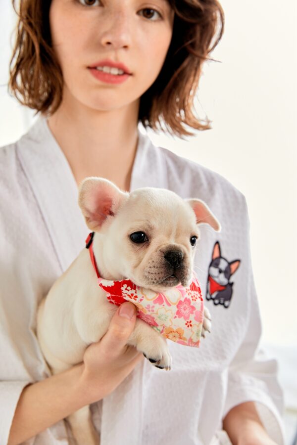 dog bath robe